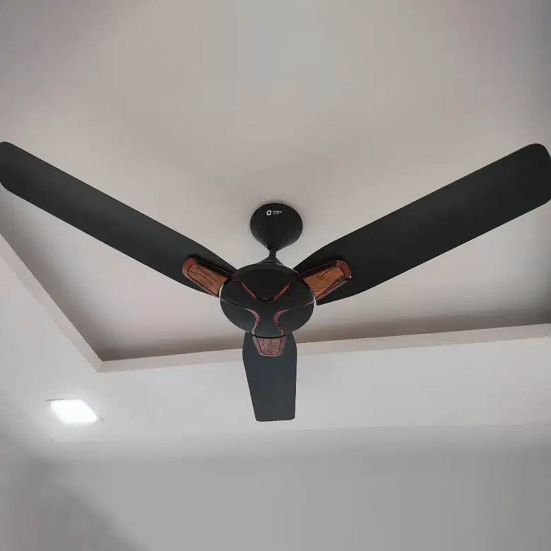 ceiling fan scrap